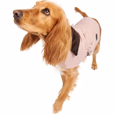 Quilted Dog Coat