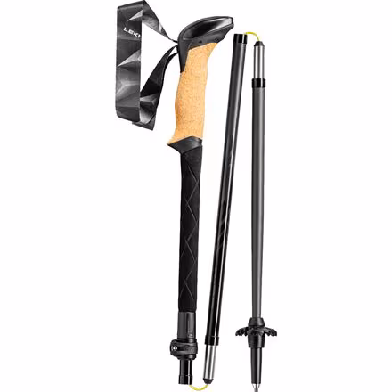 Black Series FX Carbon Trekking Poles