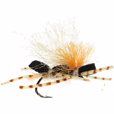 Stubby Chubby 12-Pack