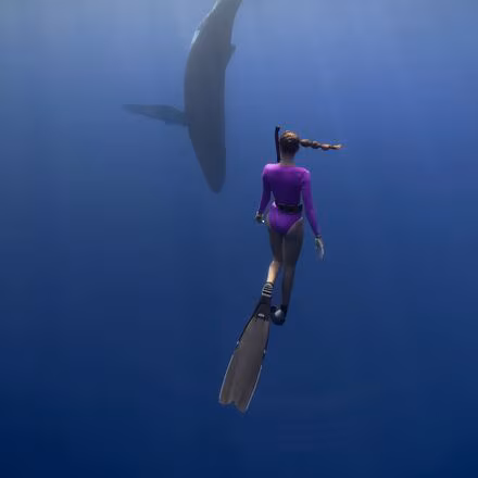 Harper Surf Suit - Women's