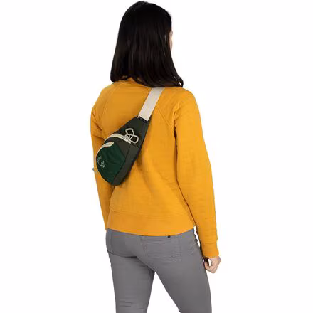 Daylite 2L Waist Pack