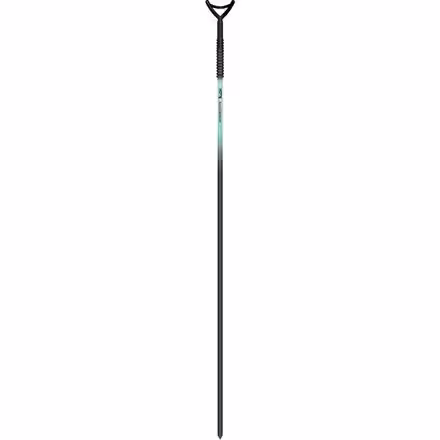 Sandspear