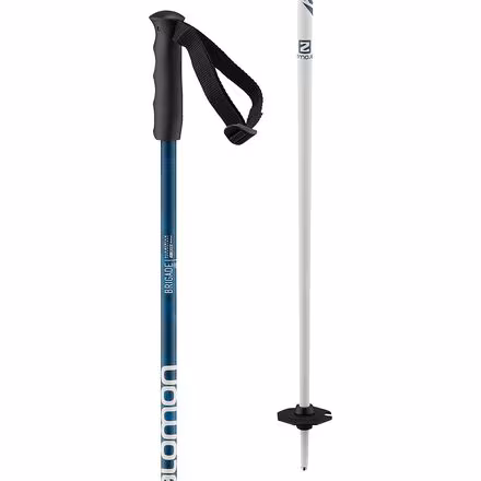 Brigade Jr Ski Poles - Kids'
