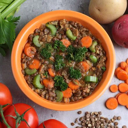 Vegetable Lentil Soup