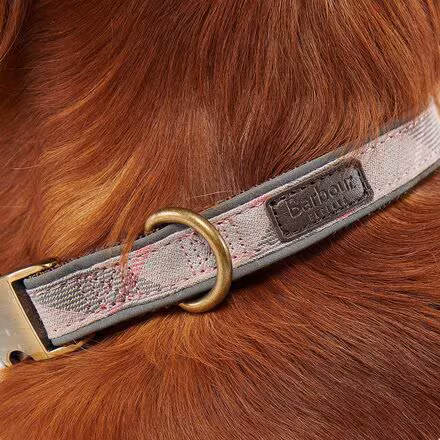 Reflective Tartan Dog Collar