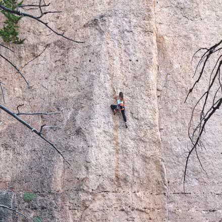 Dynama Jogger - Women's