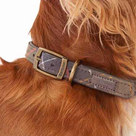 Tartan Dog Collar