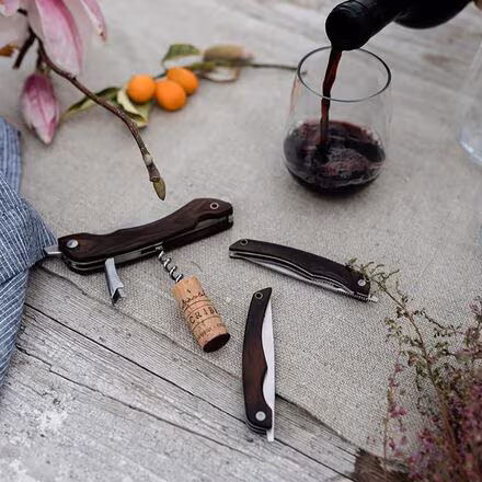 Folding Picnic Knife