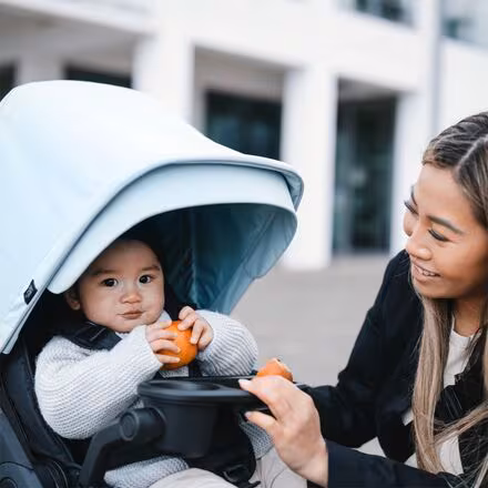 Chariot Sleek Snack Tray