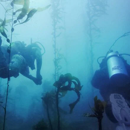 HERO11 Black Mini Dive Housing