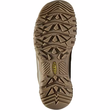 Targhee IV Mid WP Hiking Boot - Men's