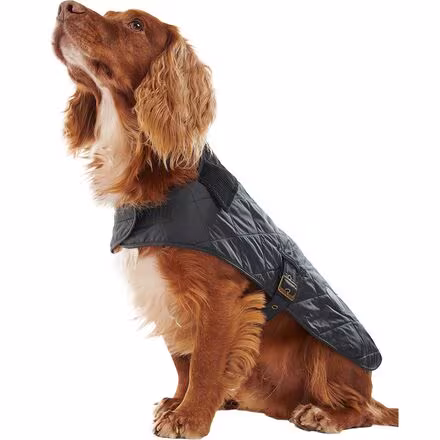 Quilted Dog Coat