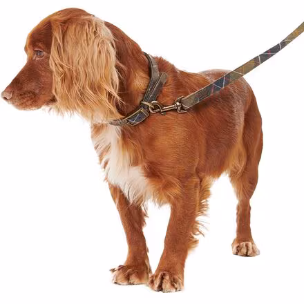Tartan/Webbing Lead