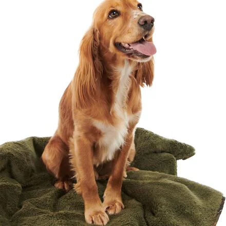 Dog Bone Quilted Blanket