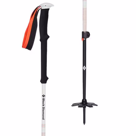 Expedition 2 Ski Poles