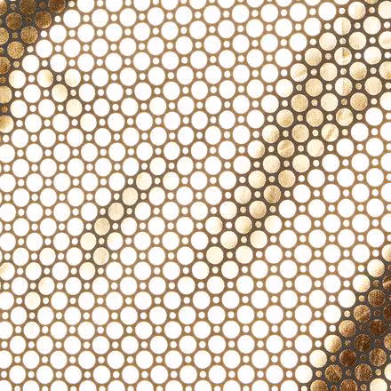 Alpine Crux II Down Hooded Jacket - Women's