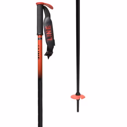 Pin Ski Poles