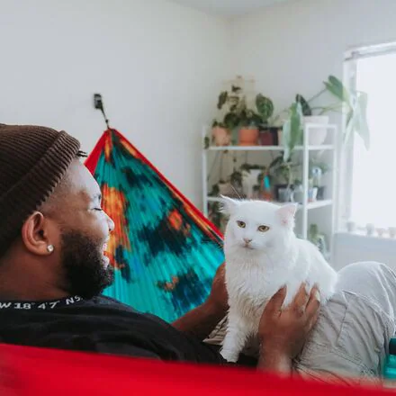 Deluxe Hammock Hanging Kit