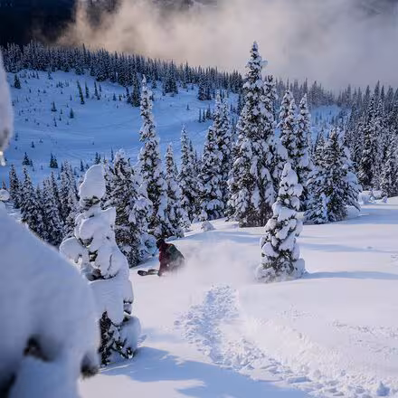 Cabrio LV 120 Ski Boot - 2024