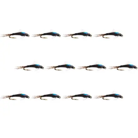 Juju Baetis 12-Pack