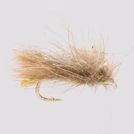 Corn-Fed Caddis 12-Pack