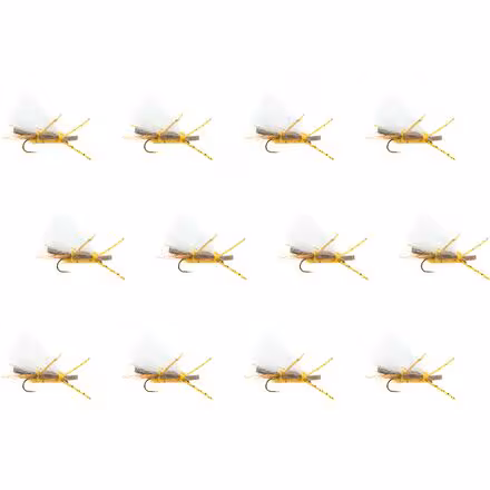 Chubby Chernobyl 12-Pack