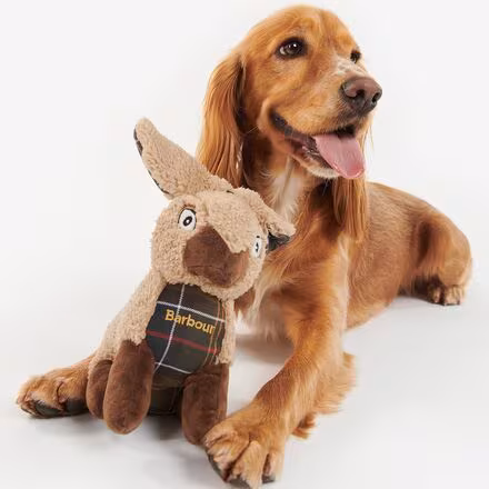 Rabbit Dog Toy