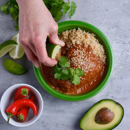 Mole Sauce with Chicken & Rice