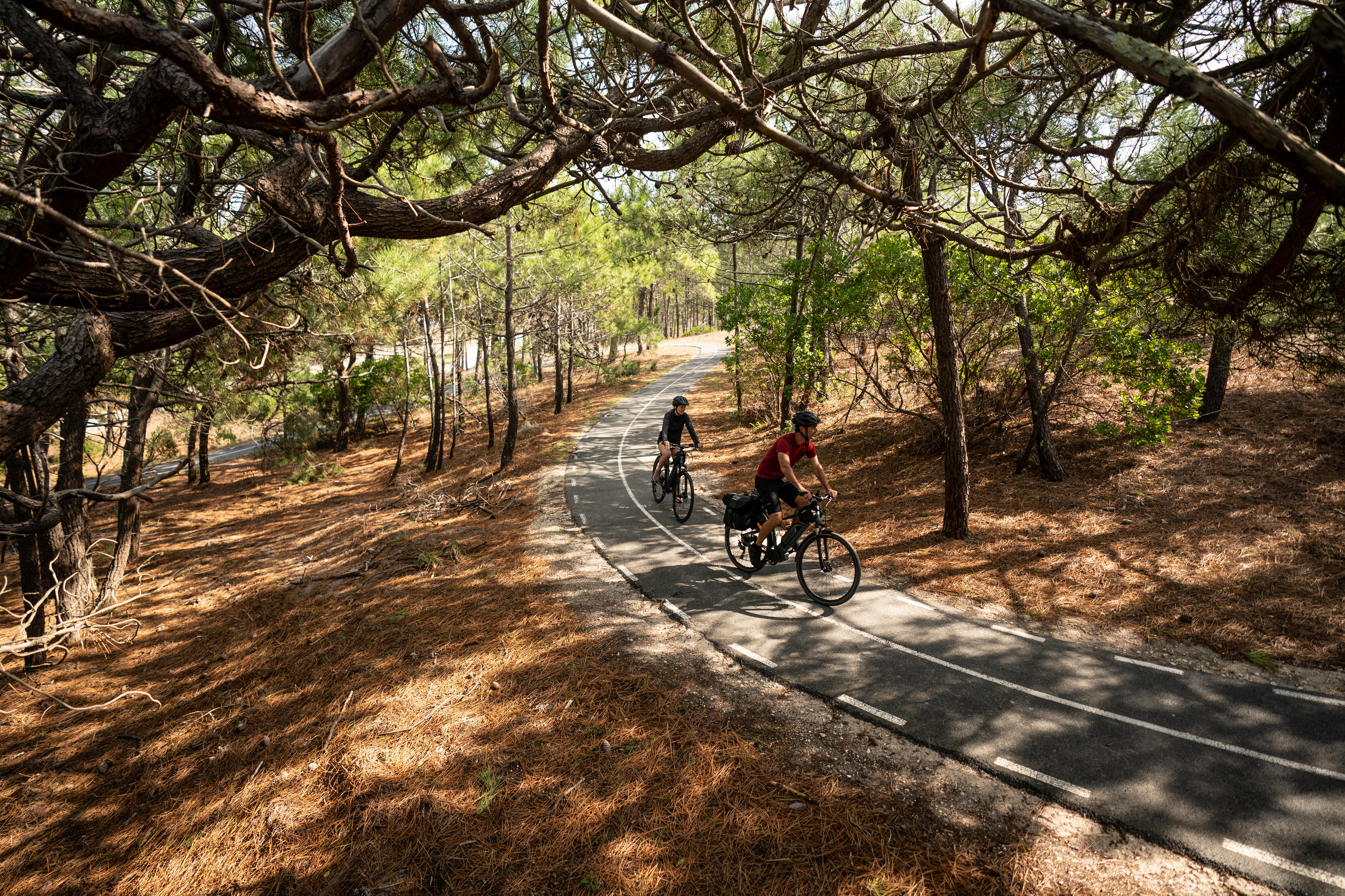 Shimano 60 Nm motor, long-distance electric hybrid bike, blue