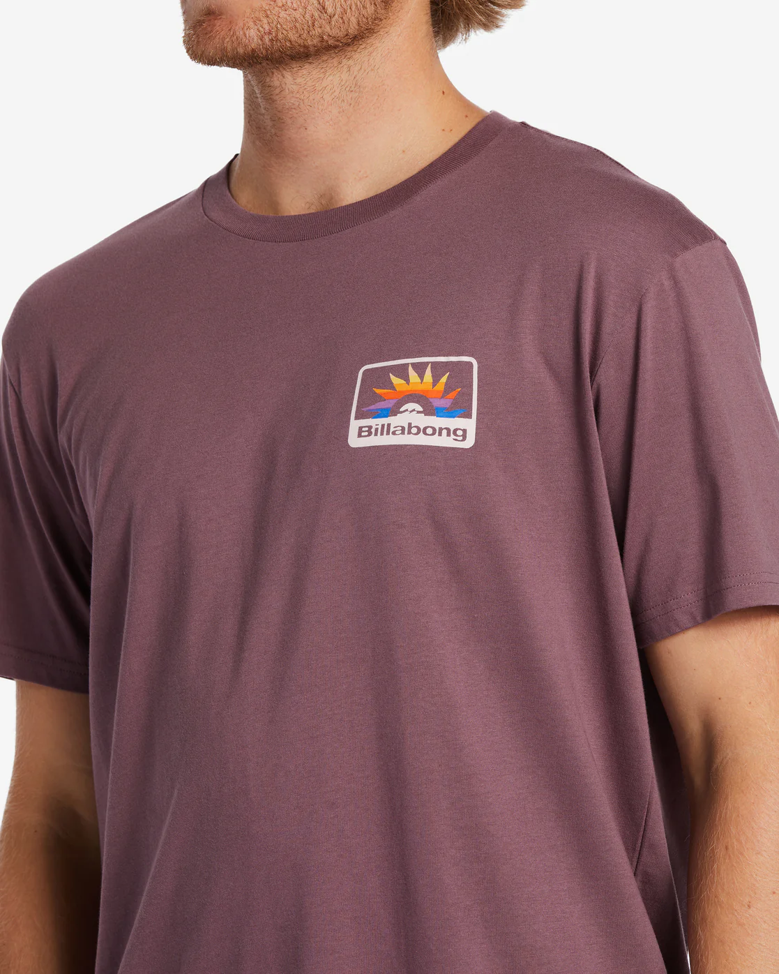 Billabong Walled T-Shirt - Vintage Violet -Biliabong Outlet