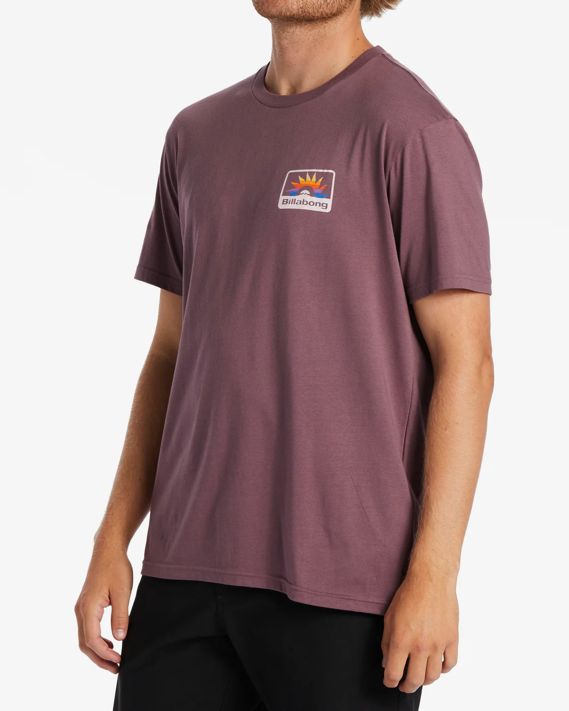 Billabong Walled T-Shirt - Vintage Violet -Biliabong Outlet
