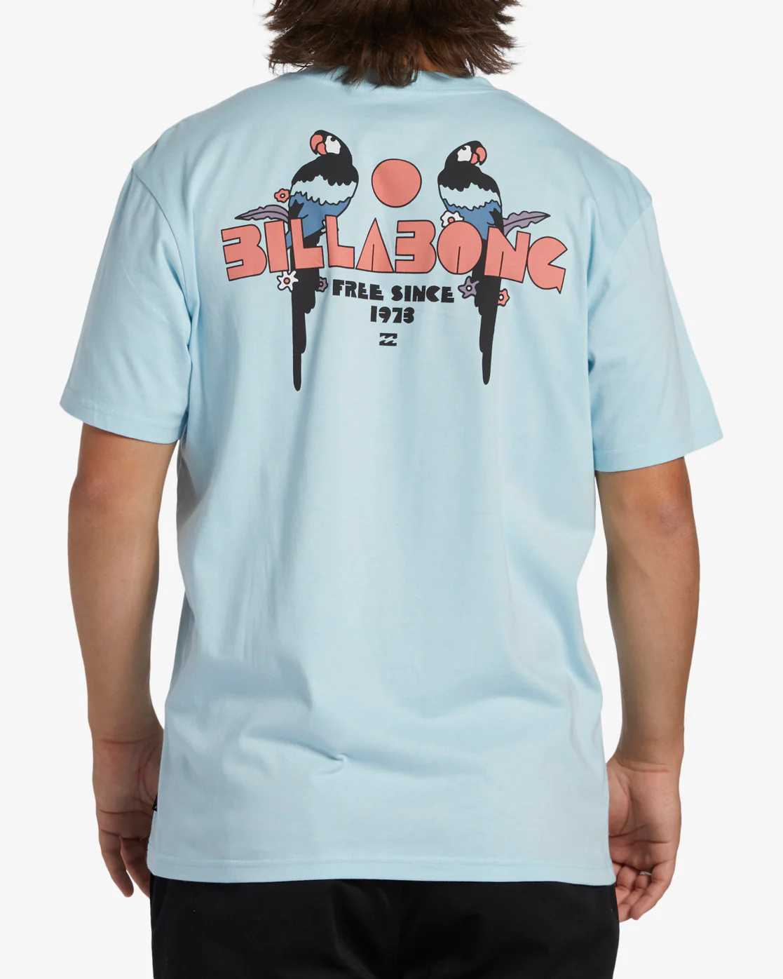Billabong Lounge Short Sleeve T-Shirt - Coastal -Biliabong Outlet