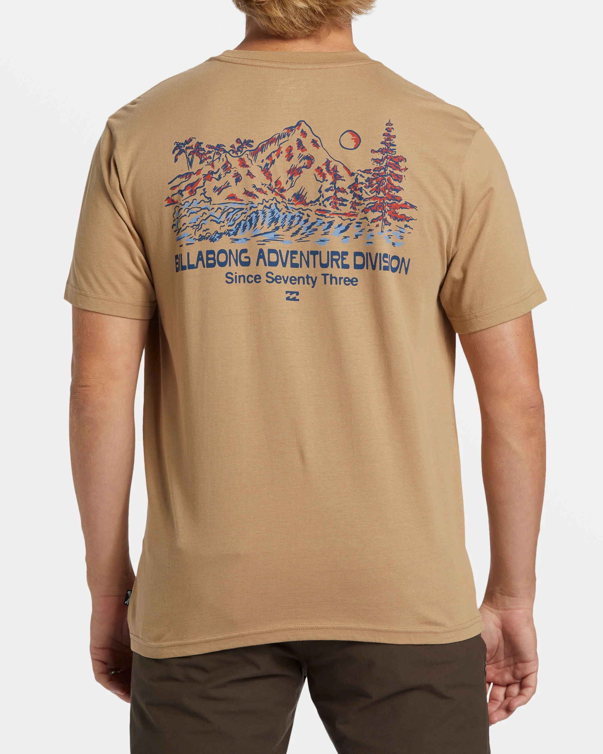 Billabong State Park T-Shirt - Hazel -Biliabong Outlet