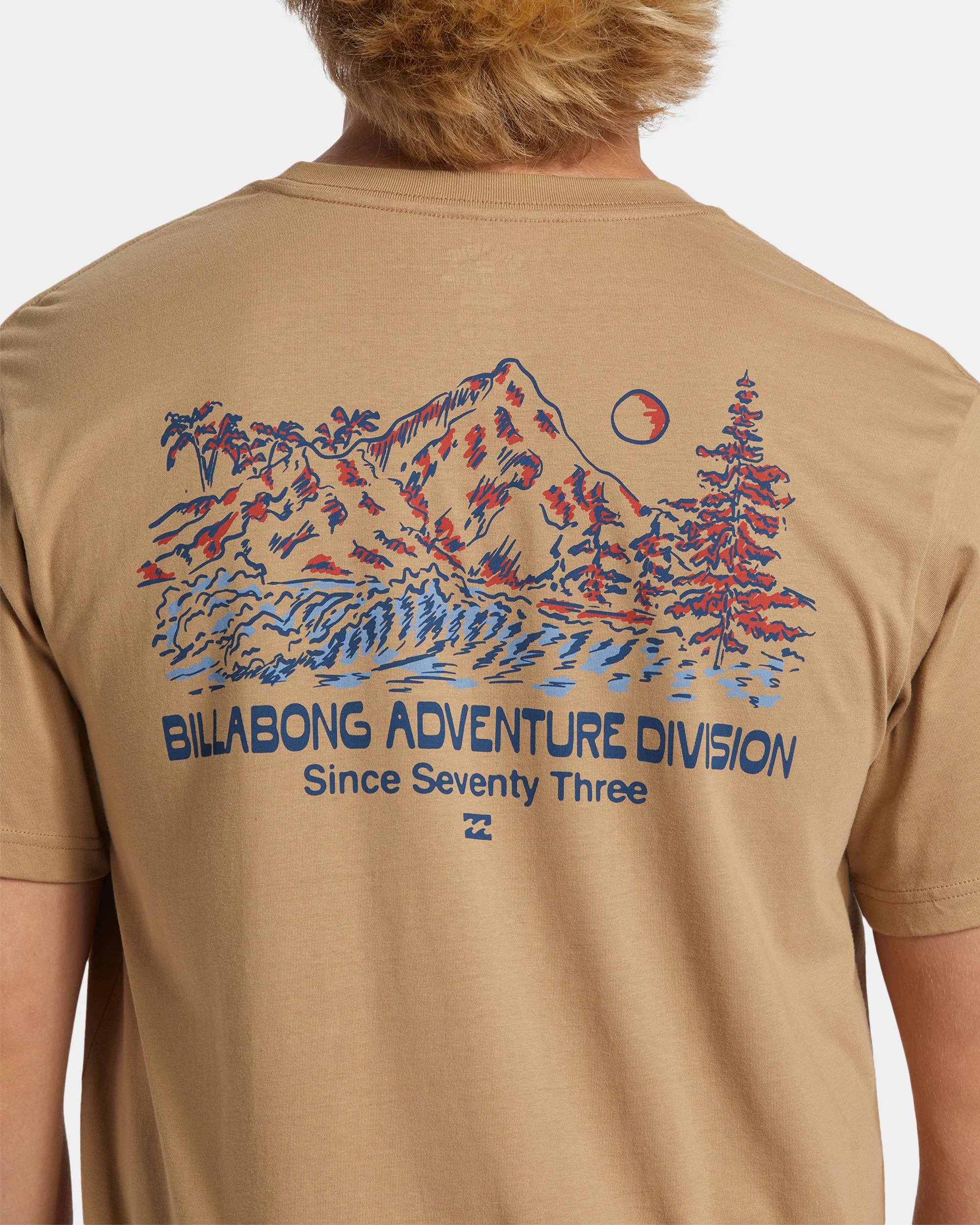 Billabong State Park T-Shirt - Hazel -Biliabong Outlet
