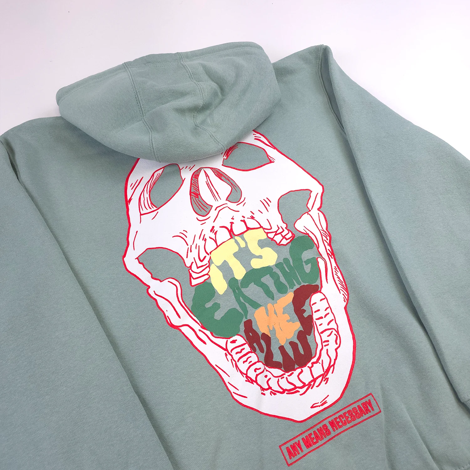 Eating Me Alive Pullover Hoodie Seafoam