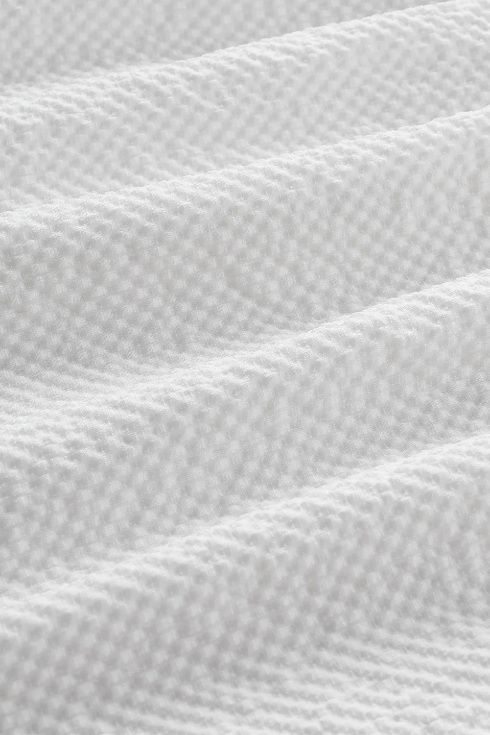 Ruffle Accent Flutter Sleeve Notch Neck Top