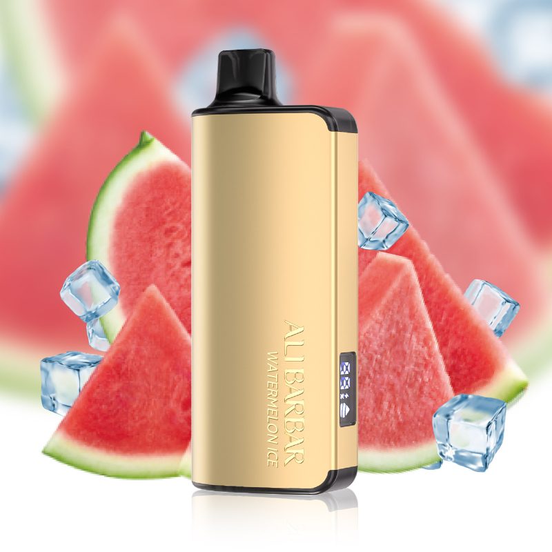 Alibarbar Ingot 9000 Puffs - Watermelon Ice - VAPESAU
