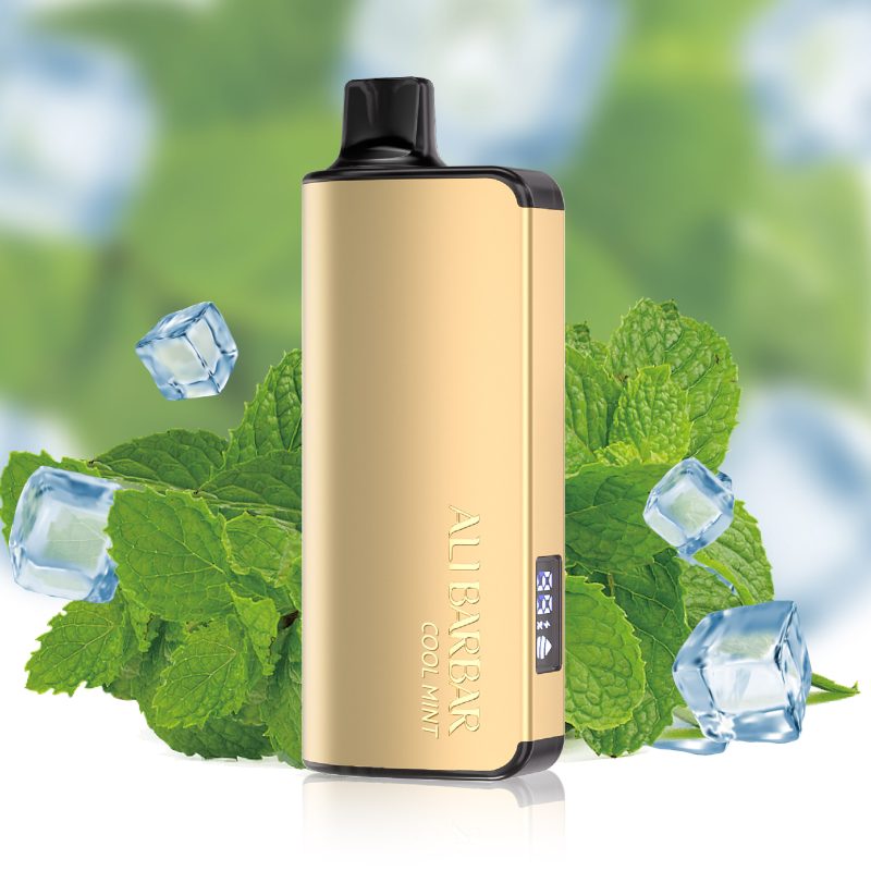 Alibarbar Ingot 9000 Puffs - Cool Mint - VAPESAU