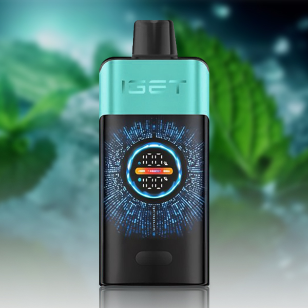 IGET One 12000 Puffs Mountain Spring Mint Ice - VAPESAU