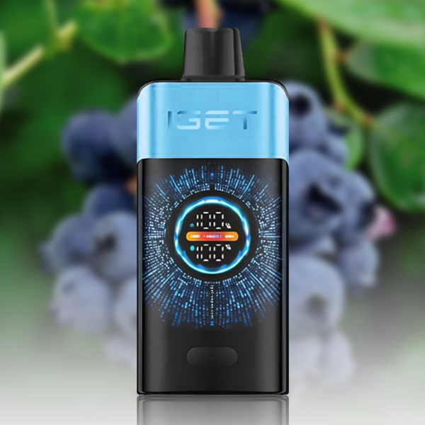 IGET One 12000 Puffs Blueberry Ice - VAPESAU