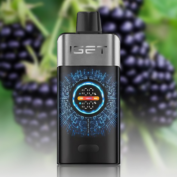 IGET One 12000 Puffs Blackberry Ice - VAPESAU