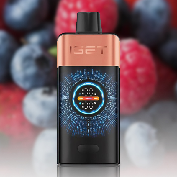 IGET One 12000 Puffs Blueberry Raspberry - VAPESAU