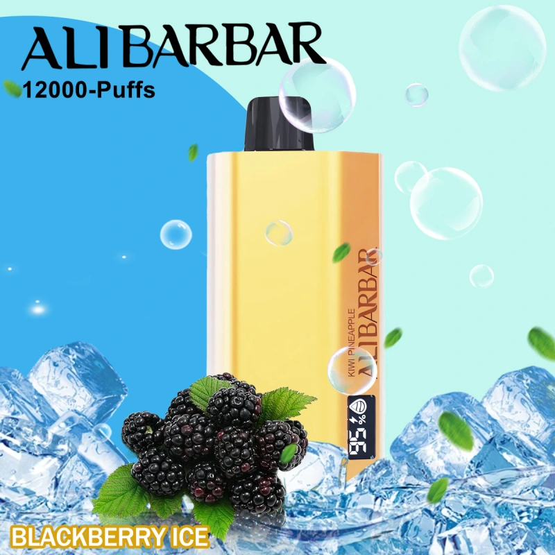 Alibarbar Third-Party Factory 12,000 Puffs Disposable E-Cigarette | Ultra-Long Lasting Vapor - VAPESAU