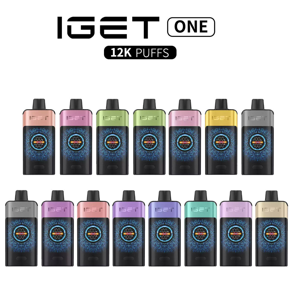 IGET ONE 12000 Puffs Disposable Vapes - VAPESAU