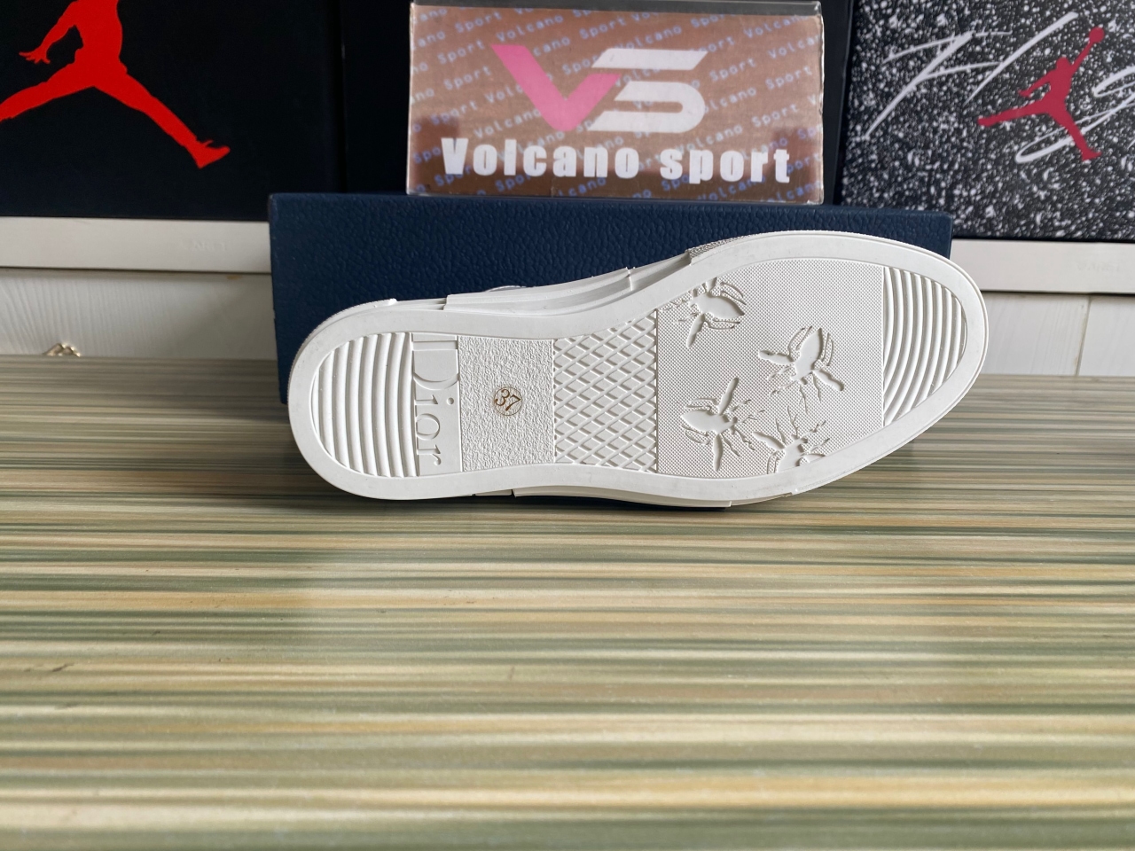 Dior B23 Low Top Oblique