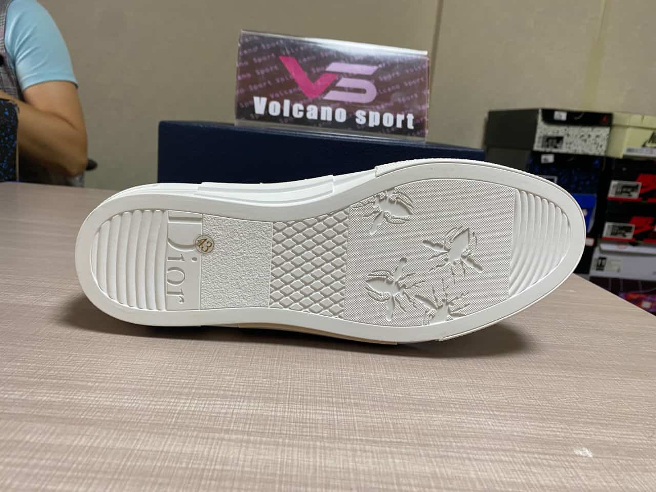 Dior B23 High Top Logo Oblique