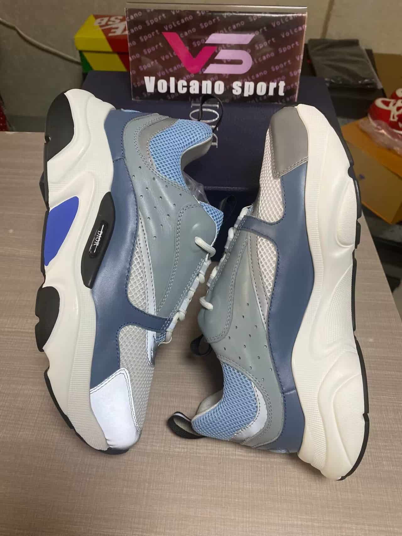 Dior B22