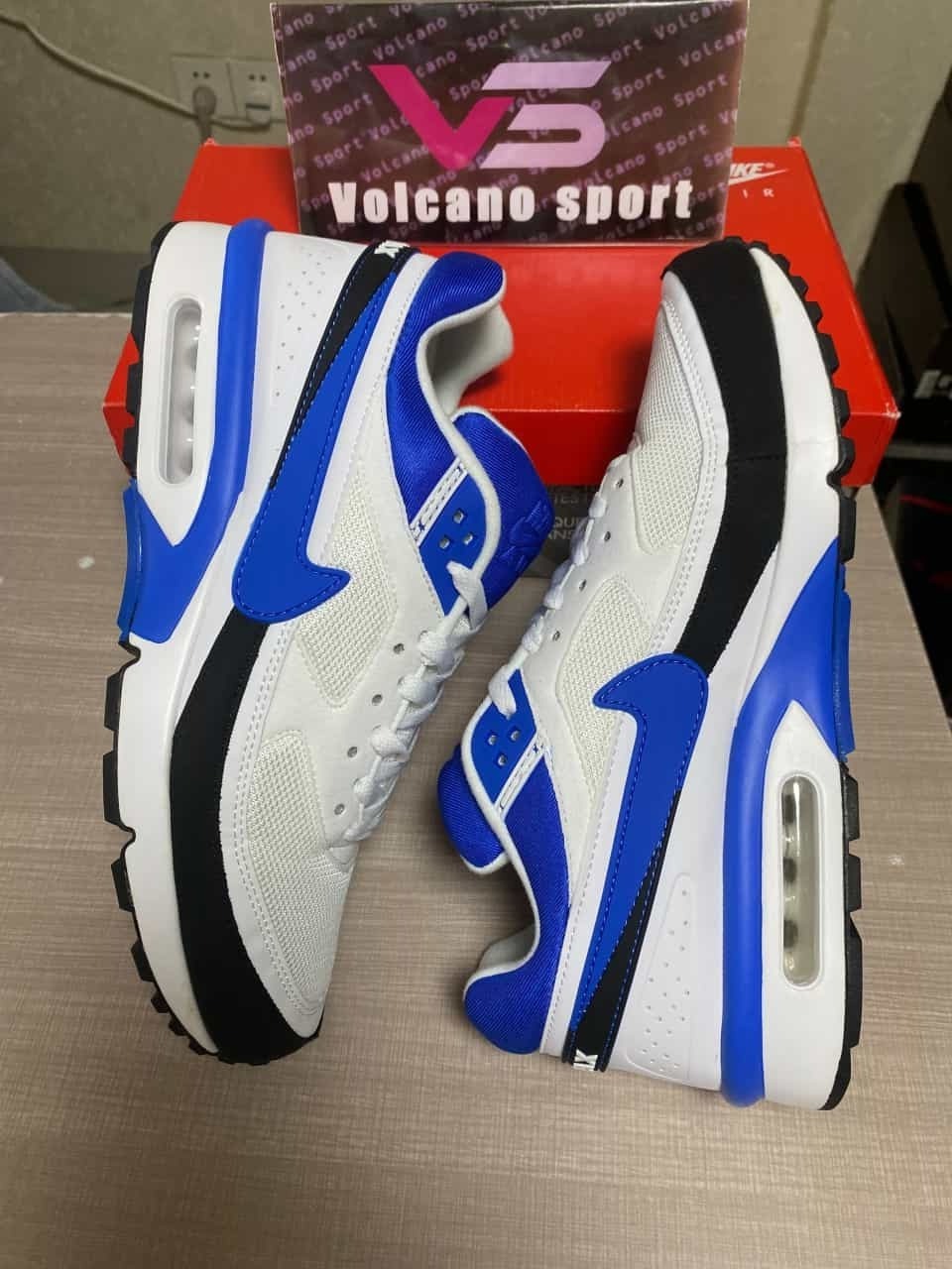 Air Max BW White Persian Violet DN4113-101