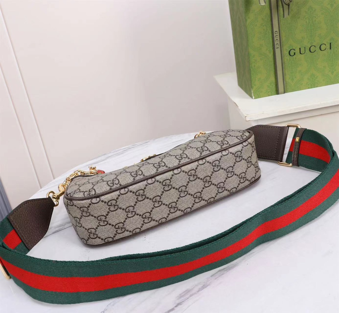 GUCCI Ophidia 735132 25x15.5x6cm