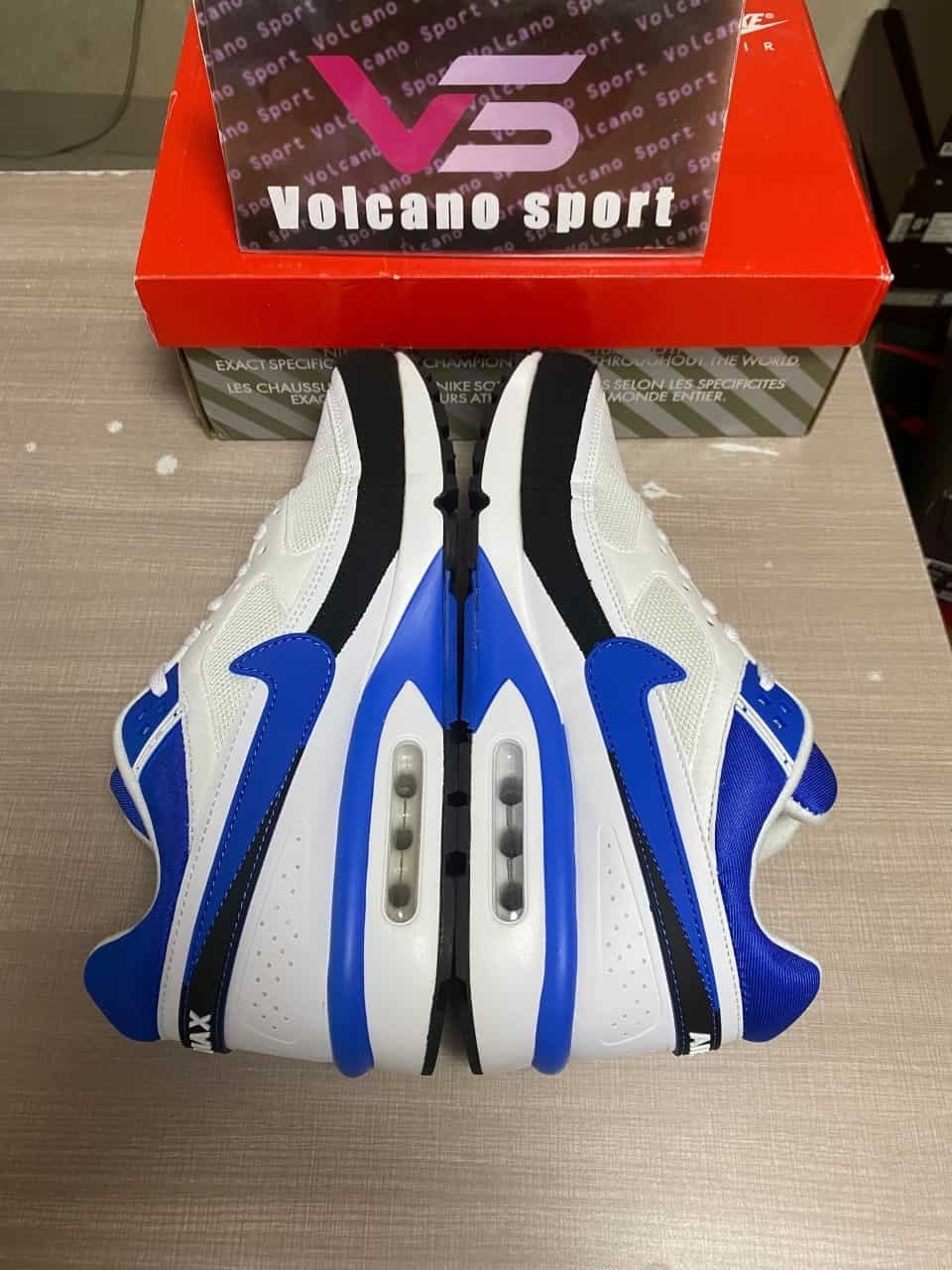 Air Max BW White Persian Violet DN4113-101